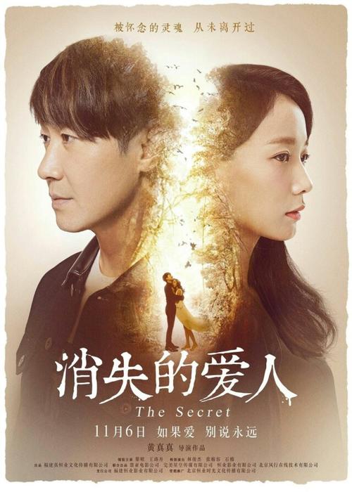 购买假建设银行存款证明